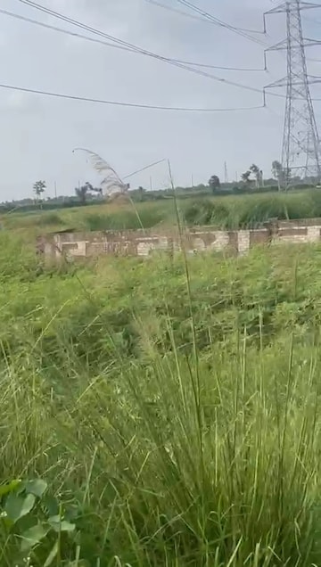 Plot For Resale in Mithanpura Muzaffarpur  7200681