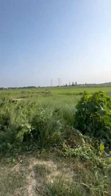 Plot Area in  Plot at Mithanpura – for Sale