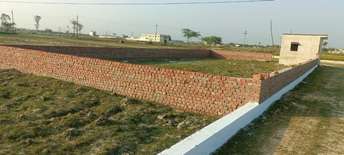 Plot For Resale in Fortune Butterfly City Kadthal Hyderabad  7203917