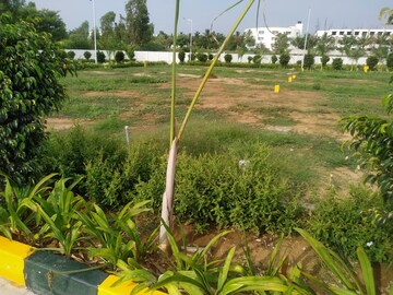  Plot – Garden View at Damden Aaladamara, Iggalur - for Sale