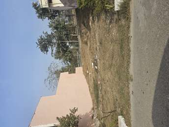 Plot For Resale in Jaypee Kensington Park Plot Ph II Sector 133 Noida  7204969