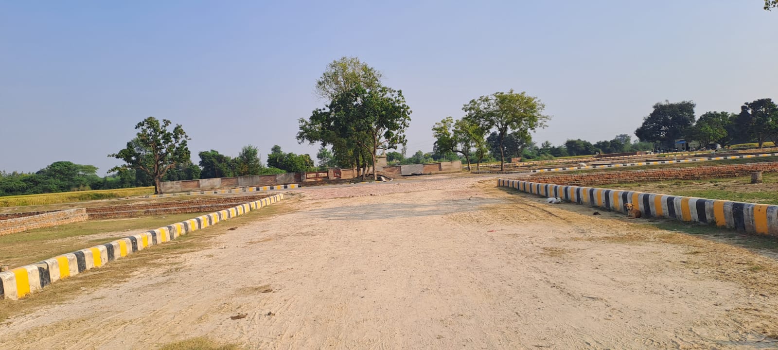 Plot For Resale in Kothrud Pune  7205772