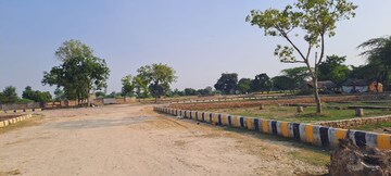 Plot For Sale in Dholera