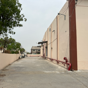 Commercial Warehouse 35000 Sq.Ft. For Rent in Sector 10a Gurgaon  7207119