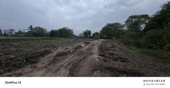 Commercial Land 4 Acre For Resale in Dharmasagar Warangal  7207147