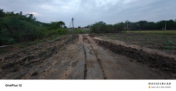 Plot Area in  Land at Dharmasagar – for Sale