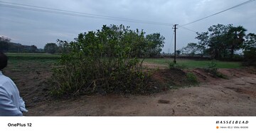 Plot Area in  Land at Dharmasagar – for Sale