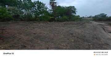 Plot Area in  Land at Dharmasagar – for Sale