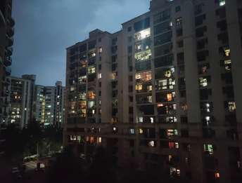 3 BHK Apartment For Rent in Yeshwanthpur Bangalore  7207300