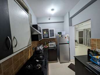 4 BHK Independent House For Rent in RWA Apartments Sector 50 Sector 50 Noida 7207371