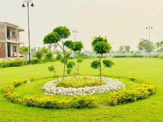 Plot For Resale in Kailasha Enclave Sultanpur Road Lucknow  7207569