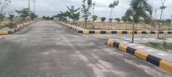  Plot For Resale in Yellampet Hyderabad 7207617