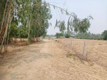 Commercial Land 5 Acre For Resale in Sisandi Road Lucknow  7207774