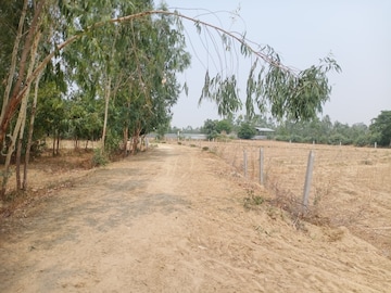 Commercial Land 5 Acre For Resale in Sisandi Road Lucknow  7207774