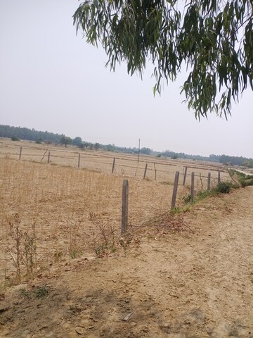 Plot Area in  Land at Sisandi Road – for Sale