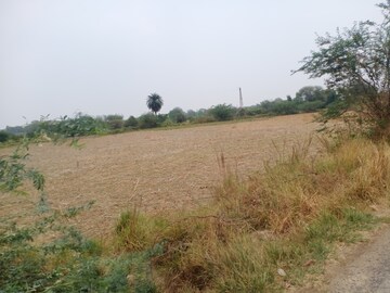 Plot Area in  Land at Sisandi Road – for Sale