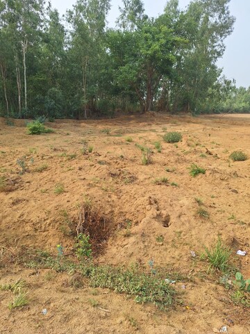  Land For Sale in Sisandi Road
