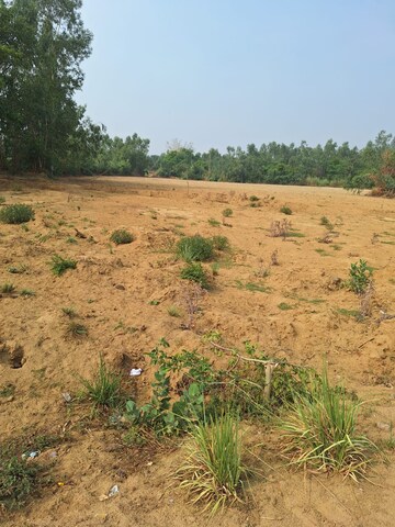 Plot Area in  Land at Sisandi Road – for Sale