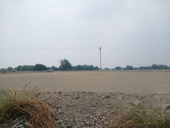 Commercial Land 5 Acre For Resale in Hindu Kheda Unnao  7207787