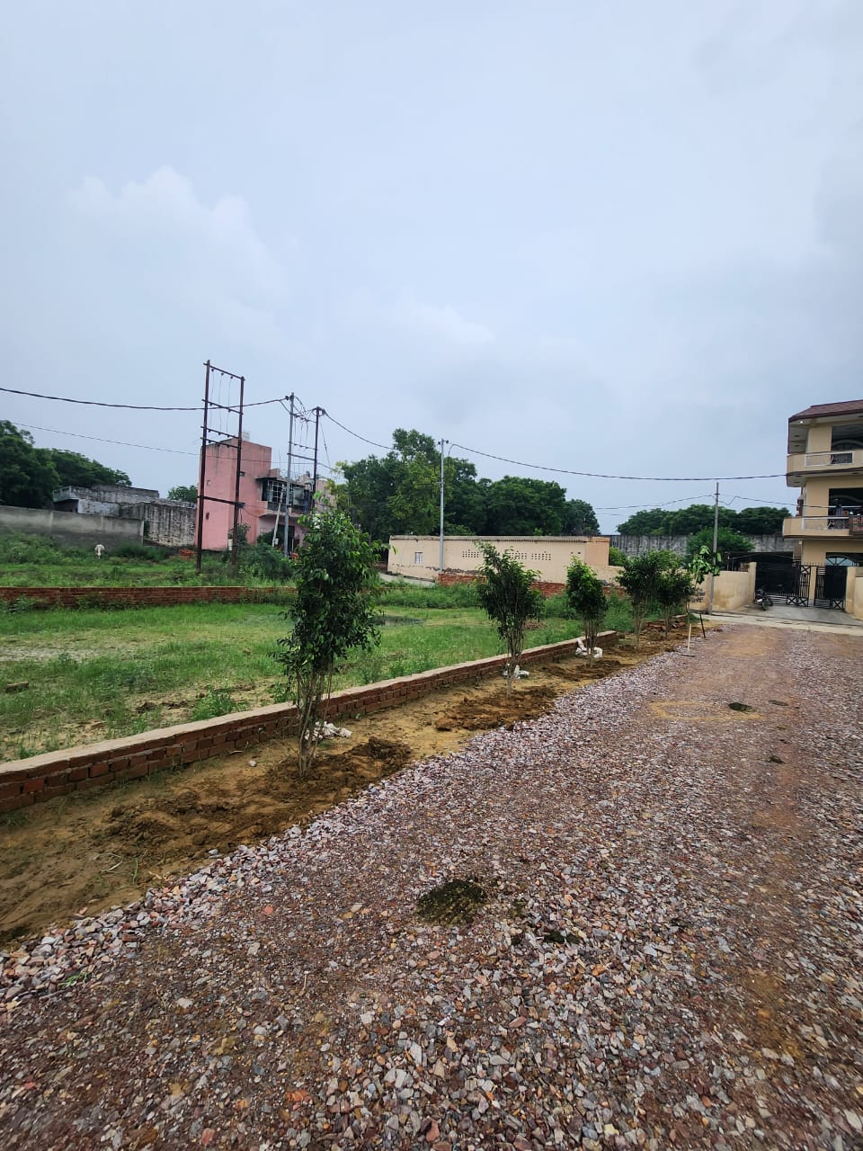 Plot For Resale in Birla Prabhadevi Prabhadevi Mumbai  7210102