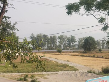 Plot Area in  Plot at Vikas Nagar – for Sale