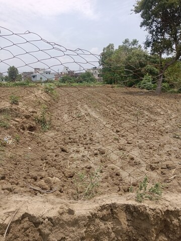 Plot Area in  Plot at Pithuwala Kalan – for Sale