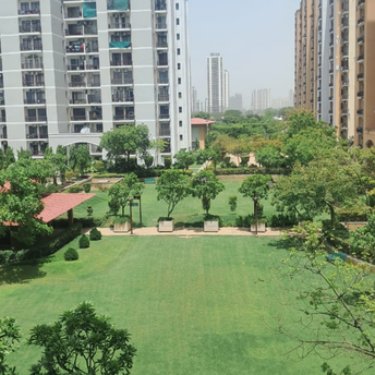 3 BHK Apartment For Resale in Vipul Lavanya Sector 81 Gurgaon  7211791