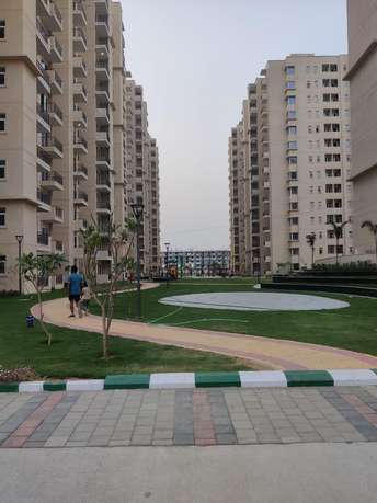 2 BHK Apartment For Rent in Signature Global Orchard Avenue Sector 93 Gurgaon 7213664