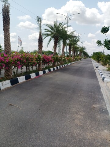  Plot – Exterior View View at Alair - for Sale