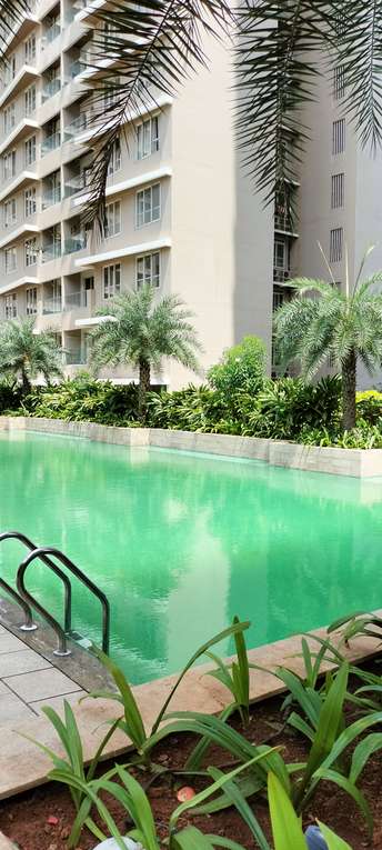 3 BHK Apartment For Rent in Kalpataru Radiance Goregaon West Mumbai  7214475