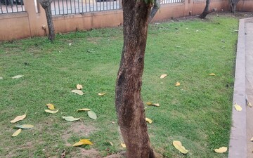 2 BHK Apartment – Garden View at Nirman Viva Phase II, Ambegaon Budruk - for Rent