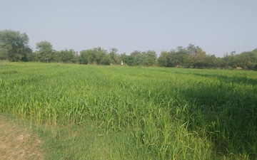Plot For Sale in Chiloda