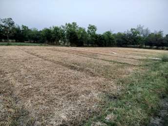 Commercial Land 900 Sq.Yd. For Resale In Navrangpura Ahmedabad 7215291