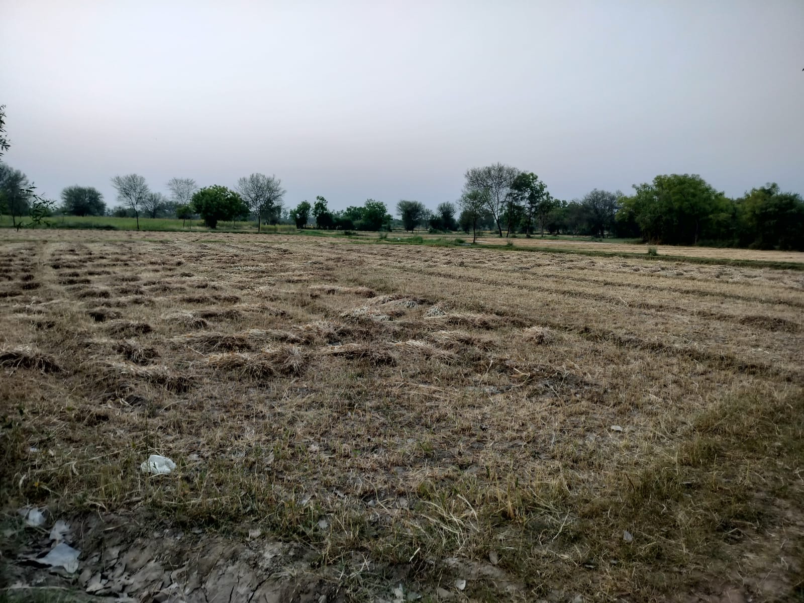 Plot For Resale in Ghuma Ahmedabad  7215313