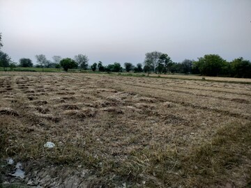  Plot For Sale in Ghuma