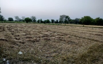 Plot For Sale in Ghuma