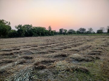  Land For Sale in S P Ring Road