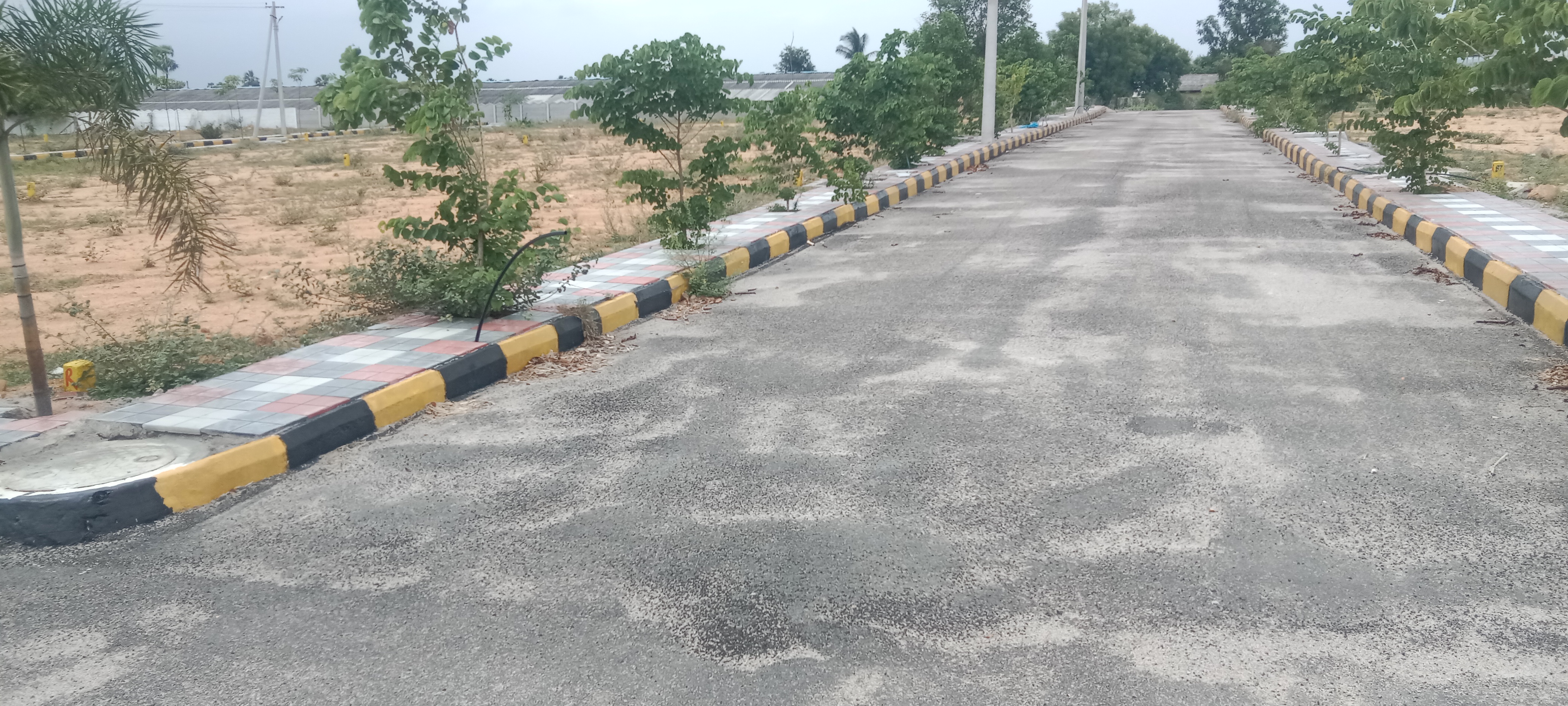 Plot For Resale in Uppuguda Hyderabad  7215704