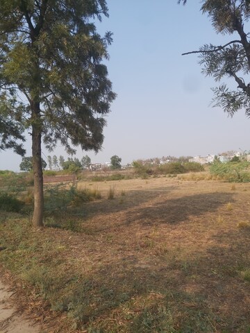  Plot For Sale in Mohanlalganj