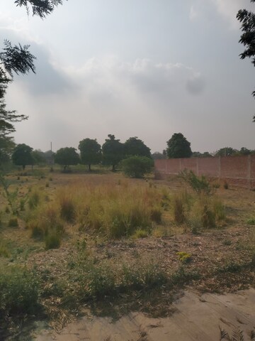  Plot – Exterior View View at Mohanlalganj - for Sale