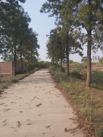 Plot – Exterior View View at Mohanlalganj - for Sale