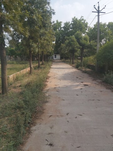  Plot – Exterior View View at Mohanlalganj - for Sale