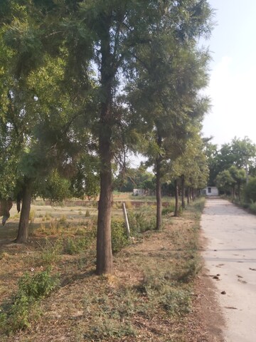  Plot – Exterior View View at Mohanlalganj - for Sale