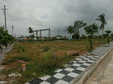 Plot Area in  Plot at Dawoodkhanguda – for Sale
