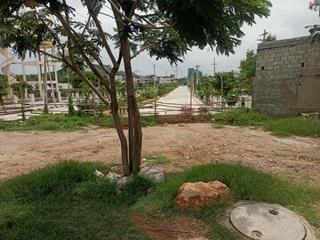  Plot – Garden View at Dawoodkhanguda - for Sale