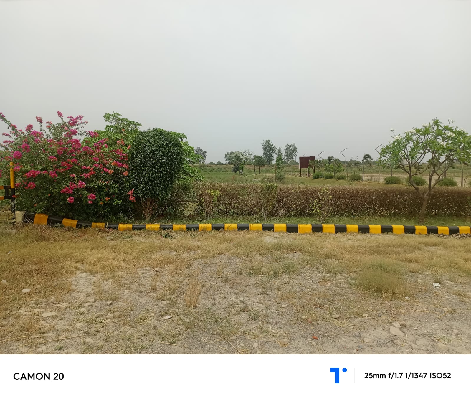 Plot For Resale in Kamta Lucknow  7216493