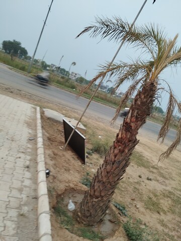 Plot – Exterior View View at Altus Prime, North Mullanpur - for Sale