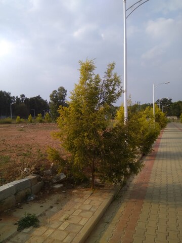  Plot For Sale in Jr Green Park, Hosur Road