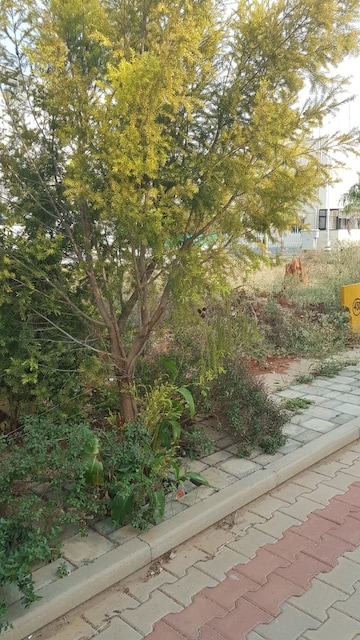  Plot – Garden View at Jr Green Park, Hosur Road - for Sale