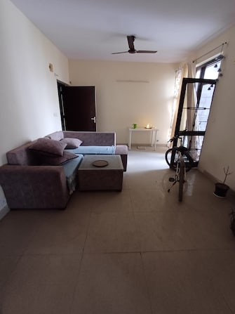 3 BHK Apartment For Resale in Omaxe Heights Sector 86 Faridabad  7217678